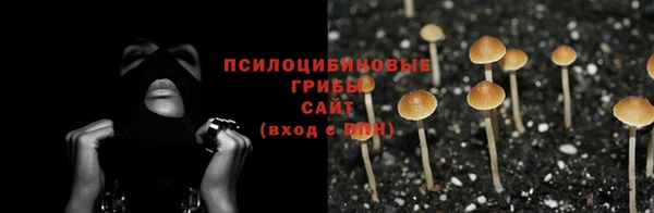 MESCALINE Гусев