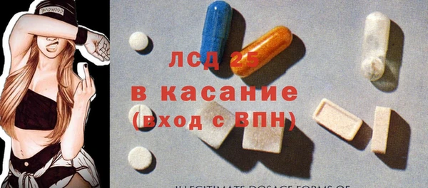 гидропоника Гусиноозёрск