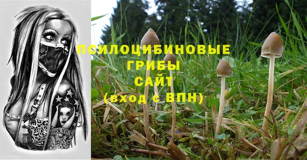 MDMA Дмитровск