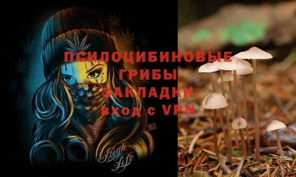 mdma Гусь-Хрустальный