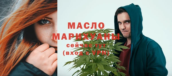 гидропоника Гусиноозёрск