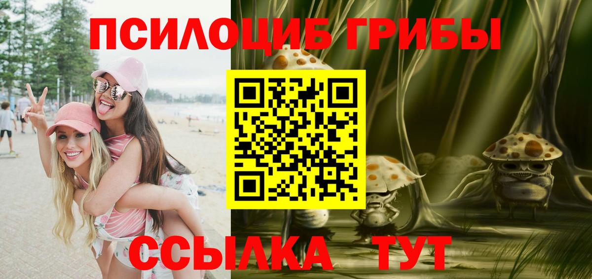 Галлюциногенные грибы Psilocybine cubensis Донецк